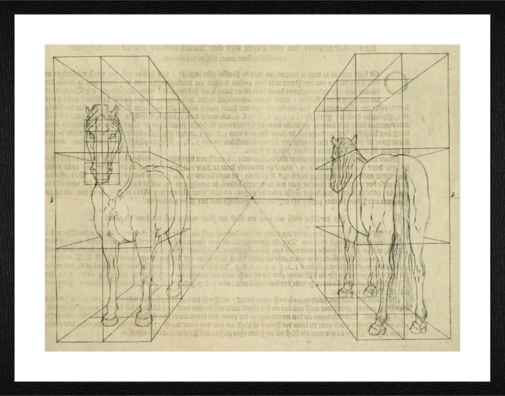 Main image Grilles Pour Cheval