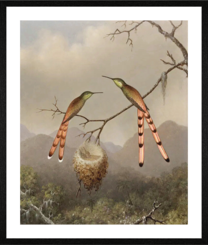 Main image Deux Colibris