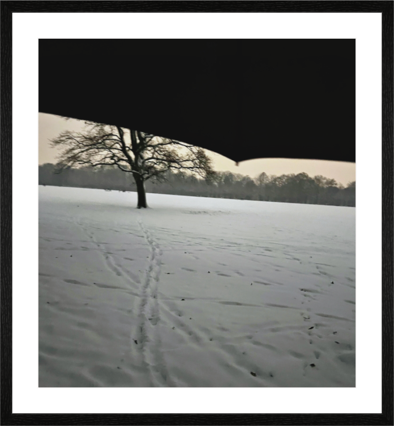 Main image Sous L'ombrelle