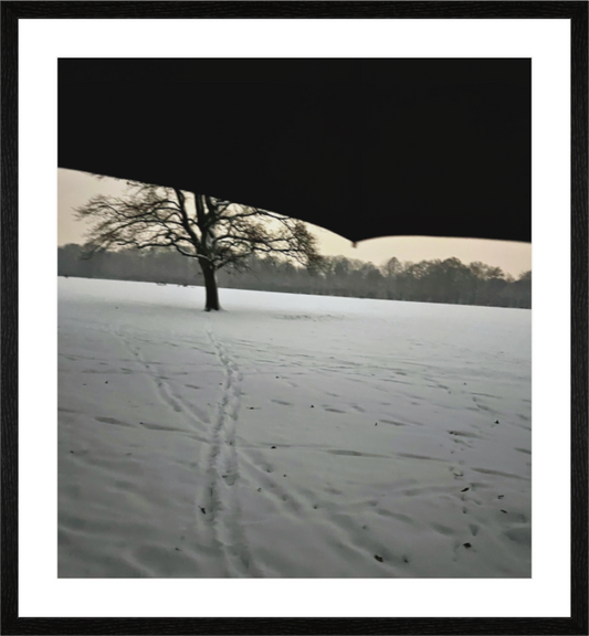 Main image Sous L'ombrelle