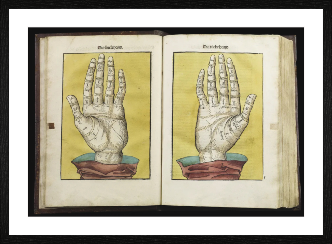 Main image Contenu De Main