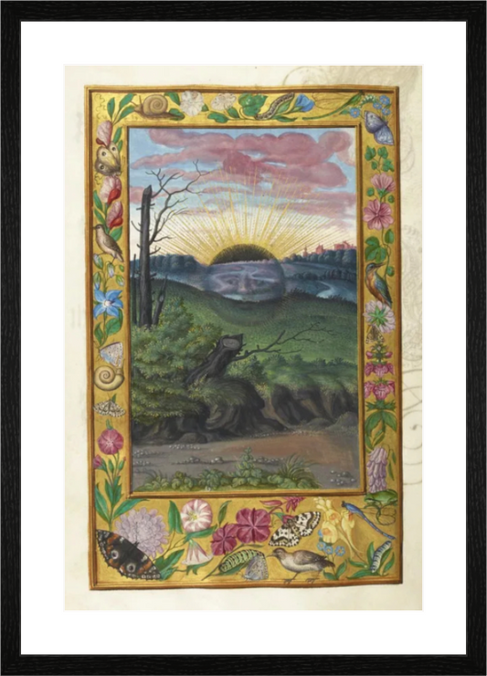 Main image Soleil Noir