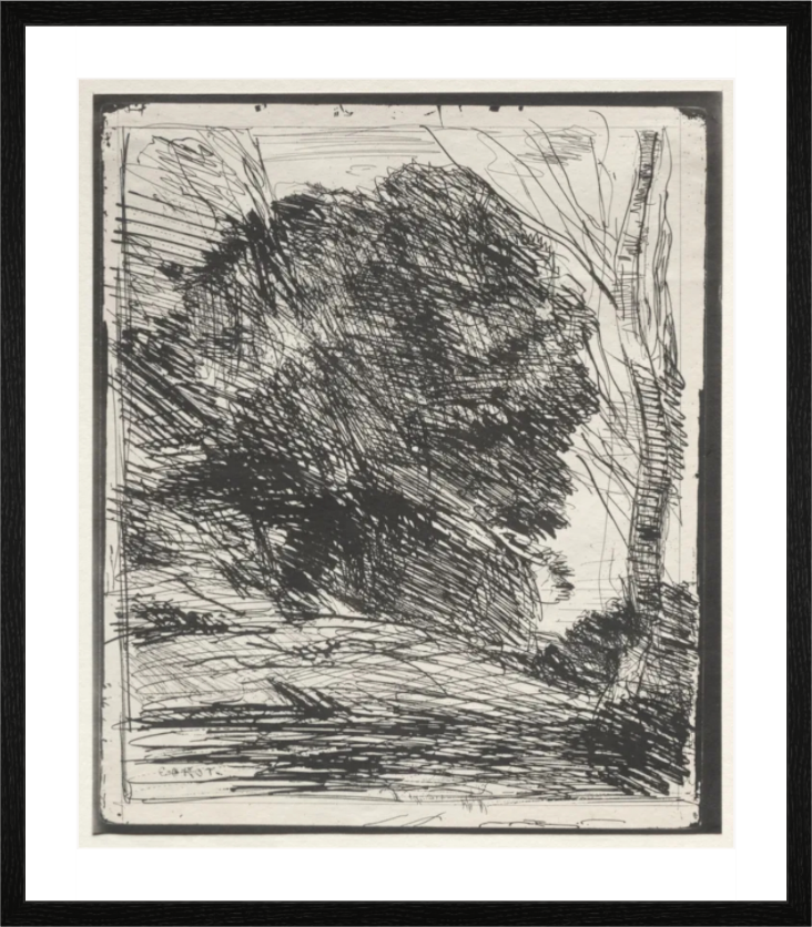 Main image Arbres Sur La Montagne