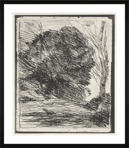 Main image Arbres Sur La Montagne