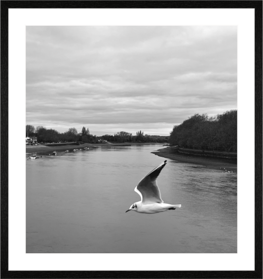 Main image Instant Parfait