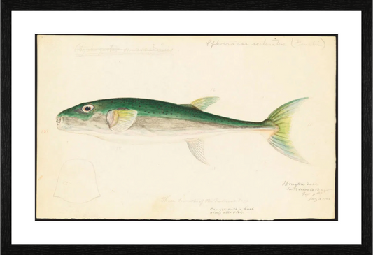 Main image Poisson I
