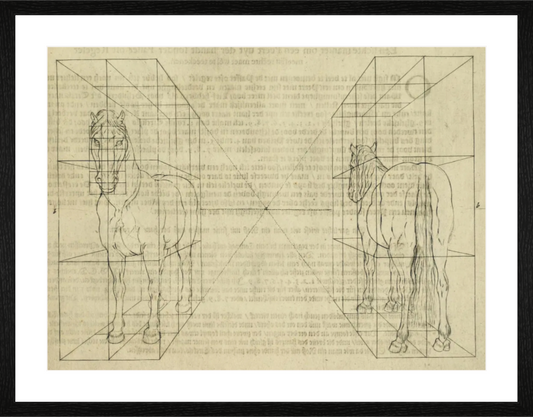 Main image Grilles Pour Cheval